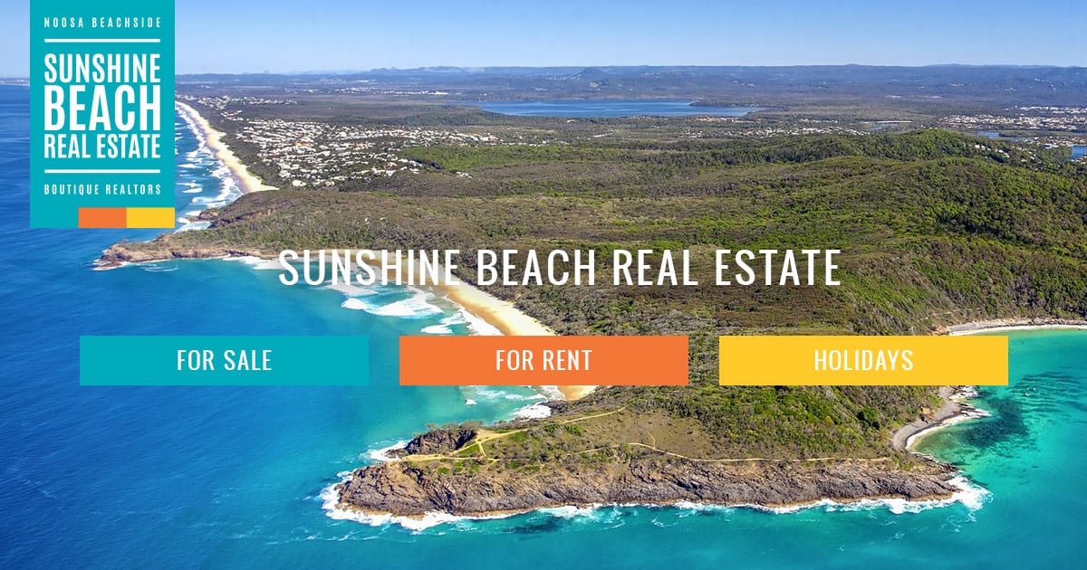 Descent fisk og skaldyr Støvet Sunshine Beach Real Estate – For Sale, For Rent, Holiday Accommodation in Sunshine  Beach Queensland